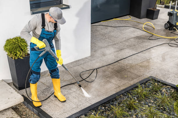 Best Exterior Home Cleaning  in Montesano, WA